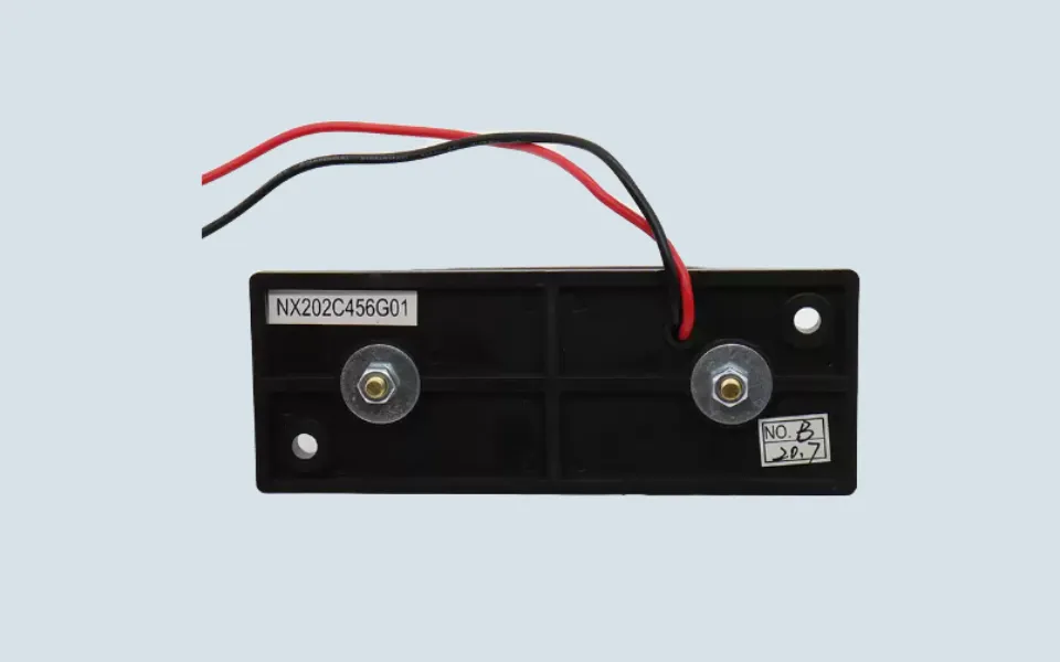 NX202C456G01-1