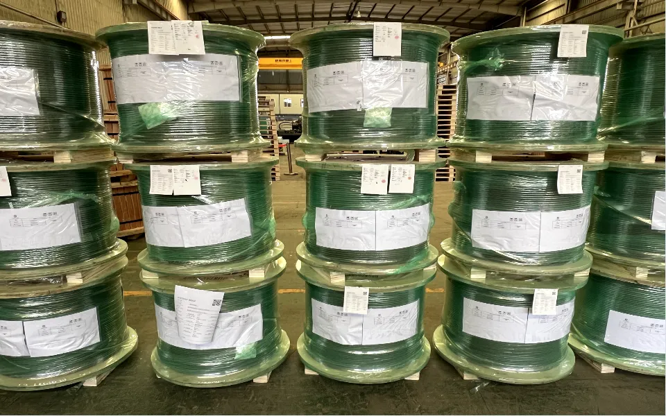 Gustav Wolf Steel Wire Rope-2