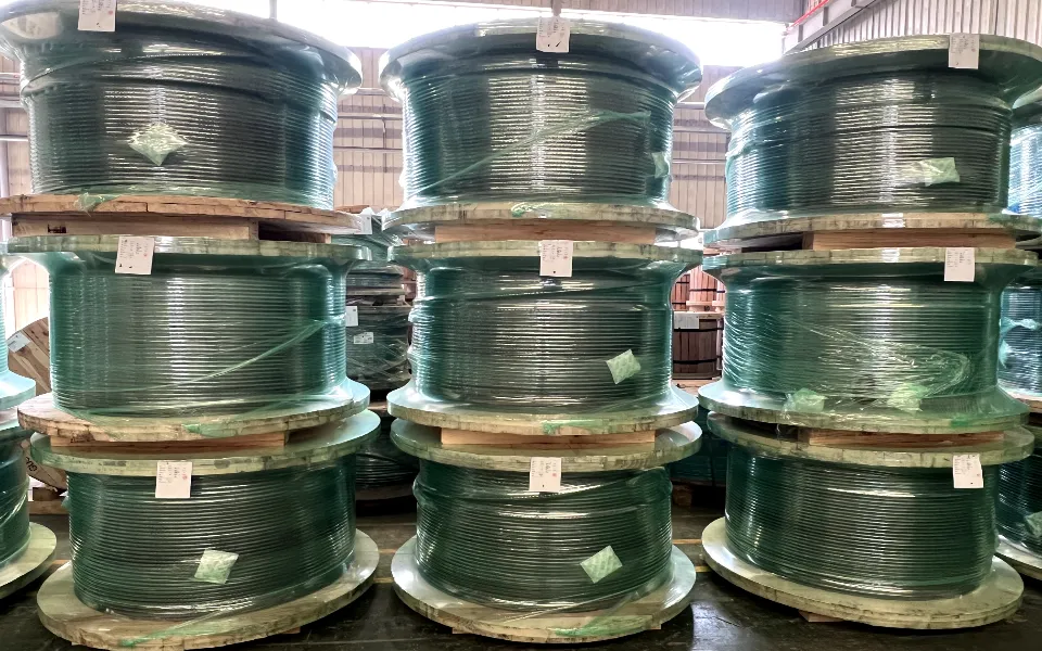 Gustav Wolf Steel Wire Rope-3